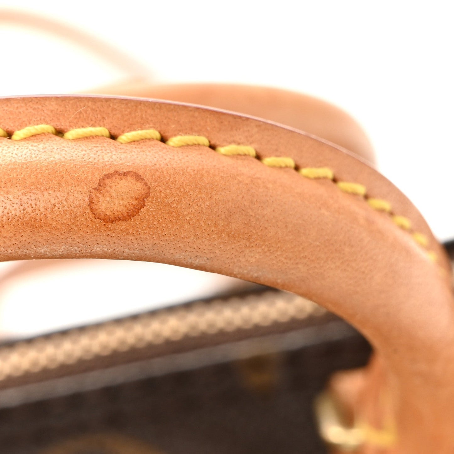 Monogram Nano Speedy