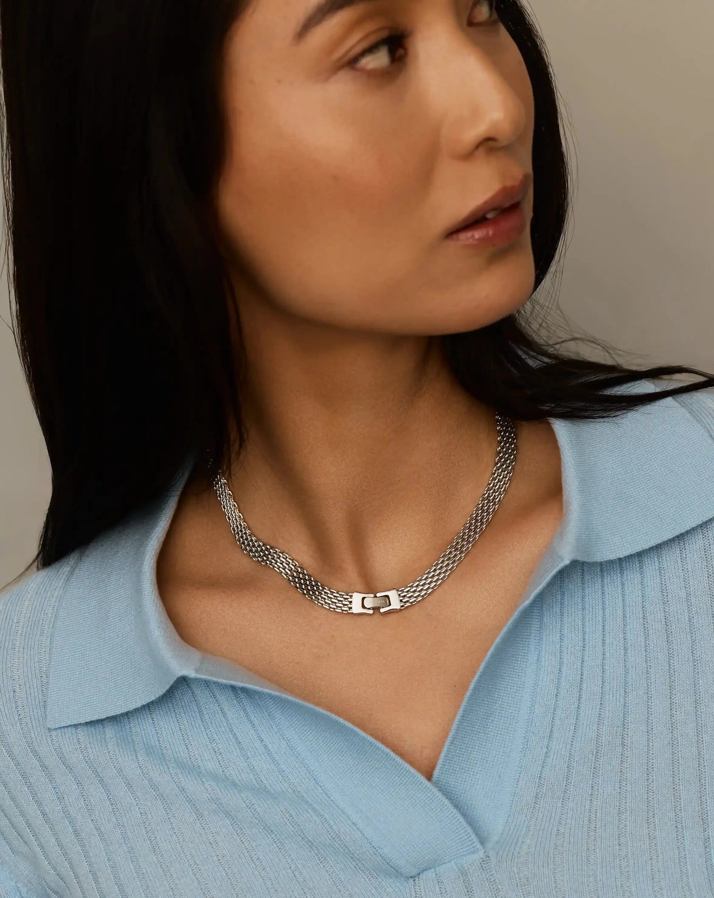 Heirloom Chain Choker Necklace | Platinum Plated