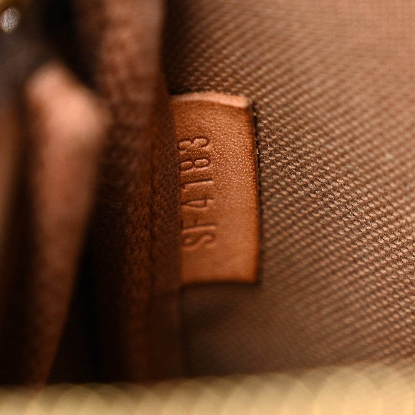 Monogram Mini Pochette Accessories