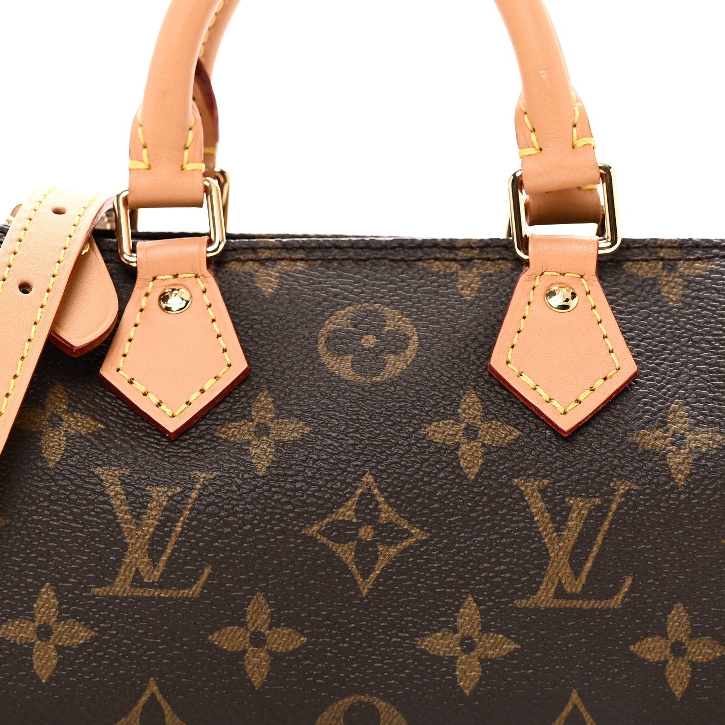 Monogram Nano Speedy Bandouliere