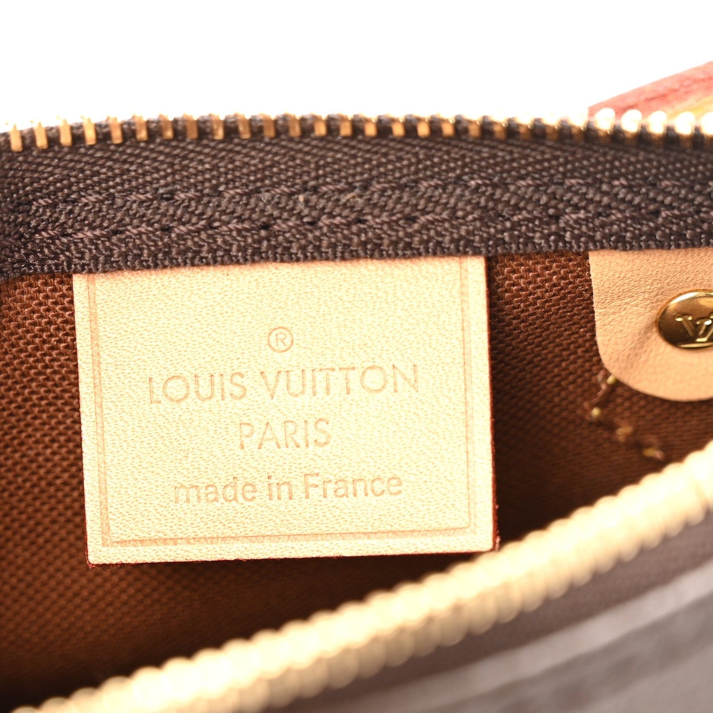 Monogram Nano Speedy