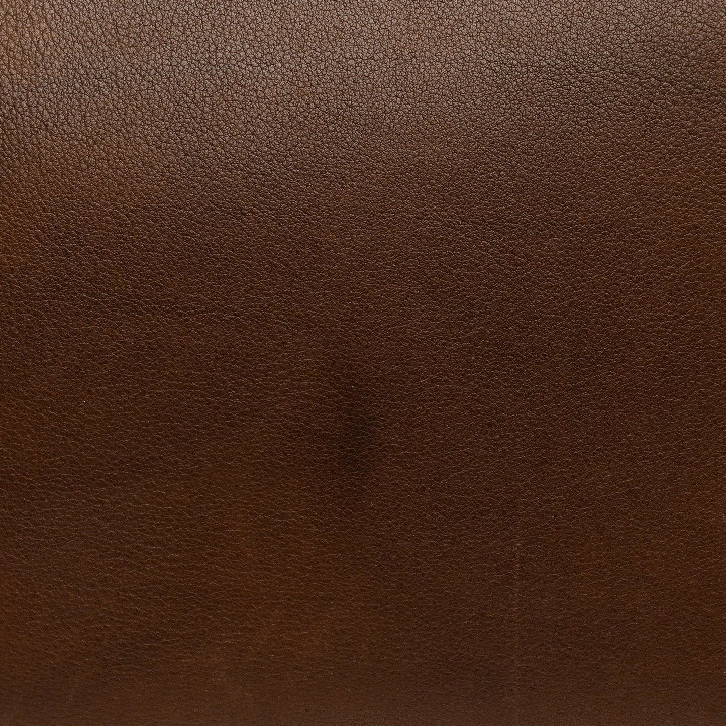 Polished Saddle Calfskin Marlo 14 Deep Brown