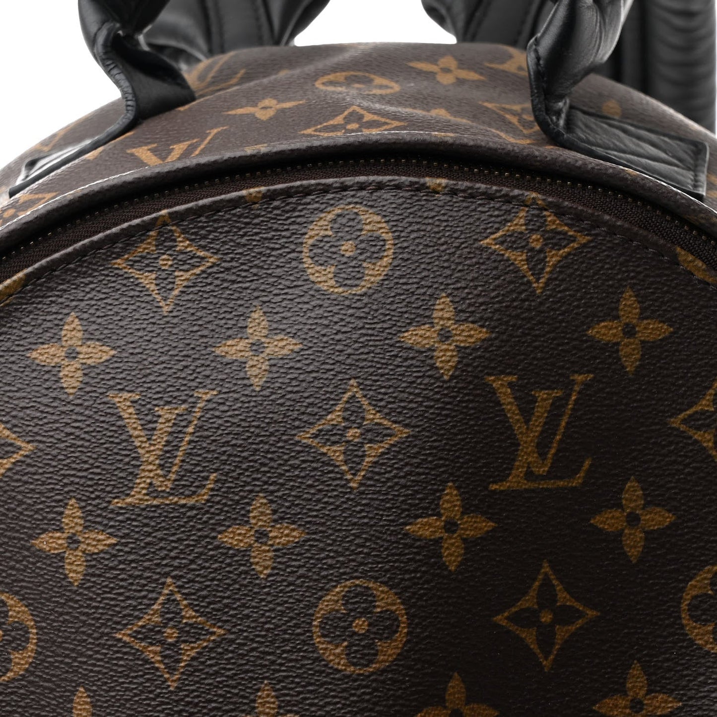 Monogram Palm Springs Backpack MM