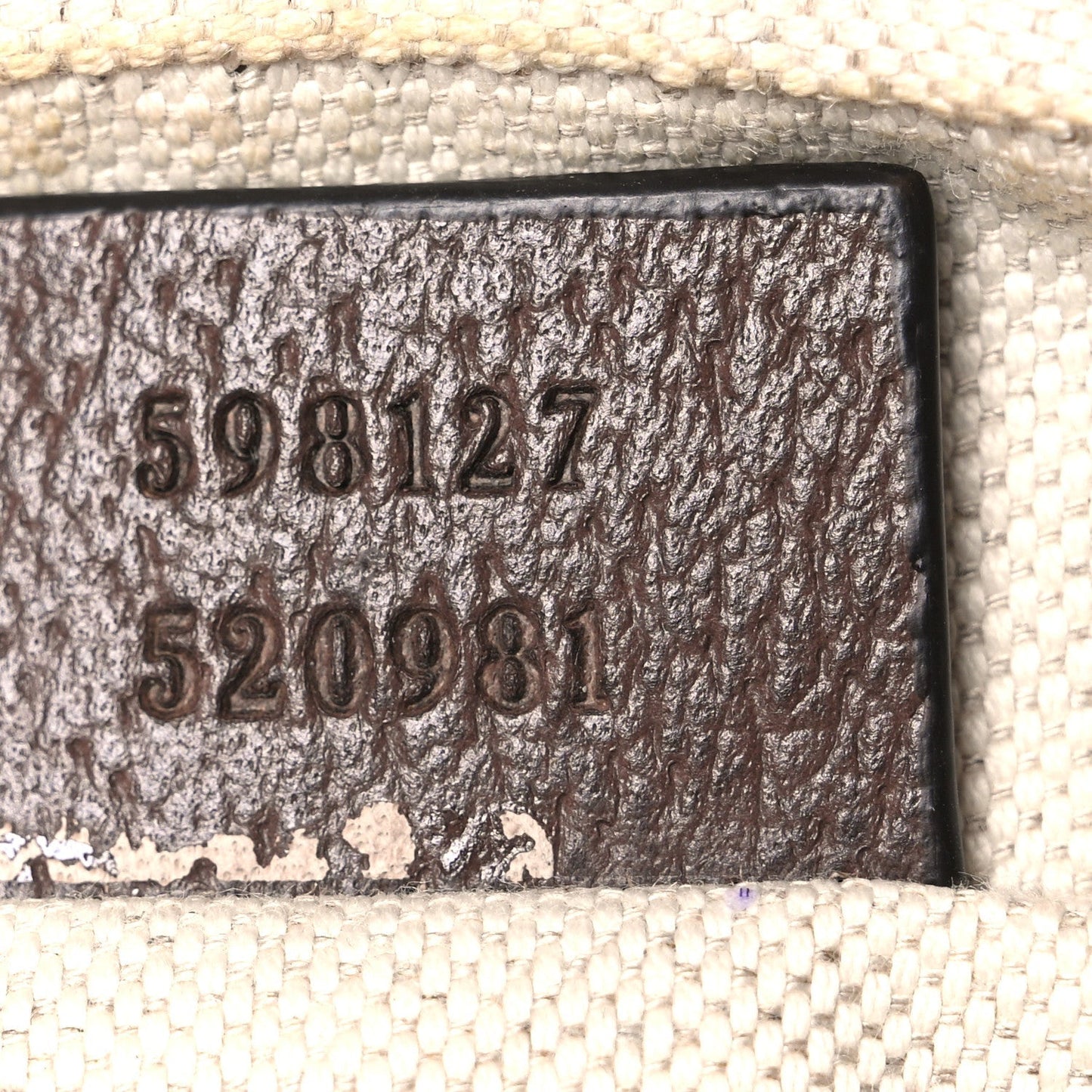 GG Supreme Monogram Web Mini Ophidia Messenger Brown
