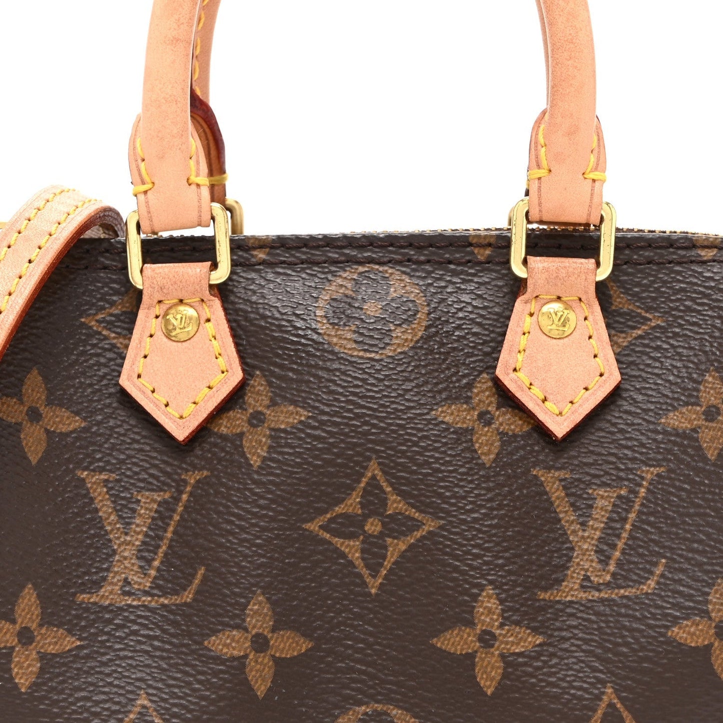 Monogram Nano Speedy