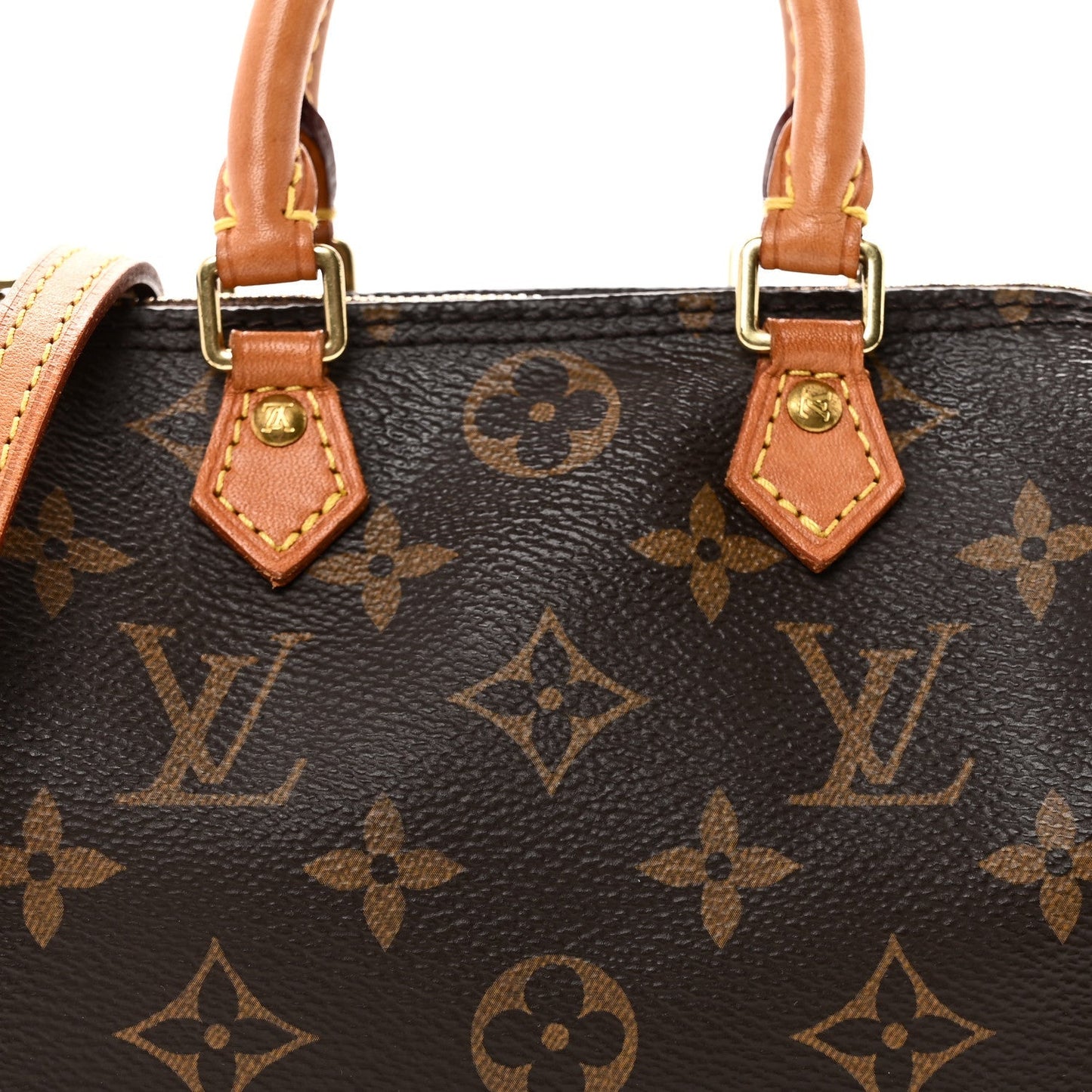 Monogram Nano Speedy