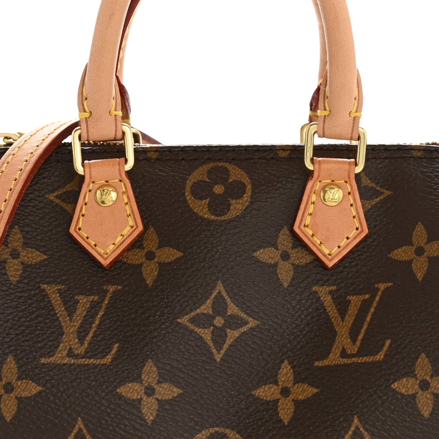 Monogram Nano Speedy