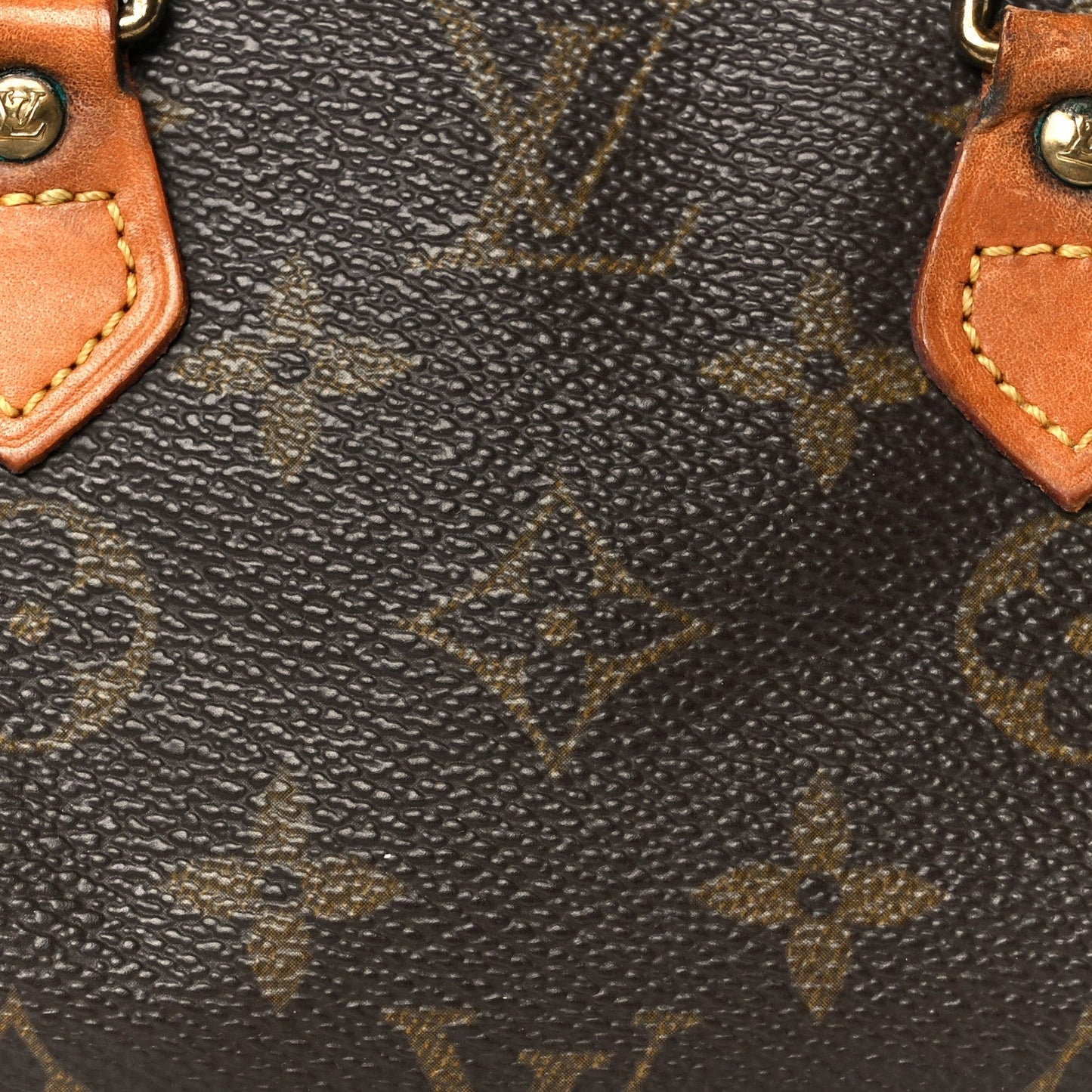Monogram Mini Sac HL Speedy