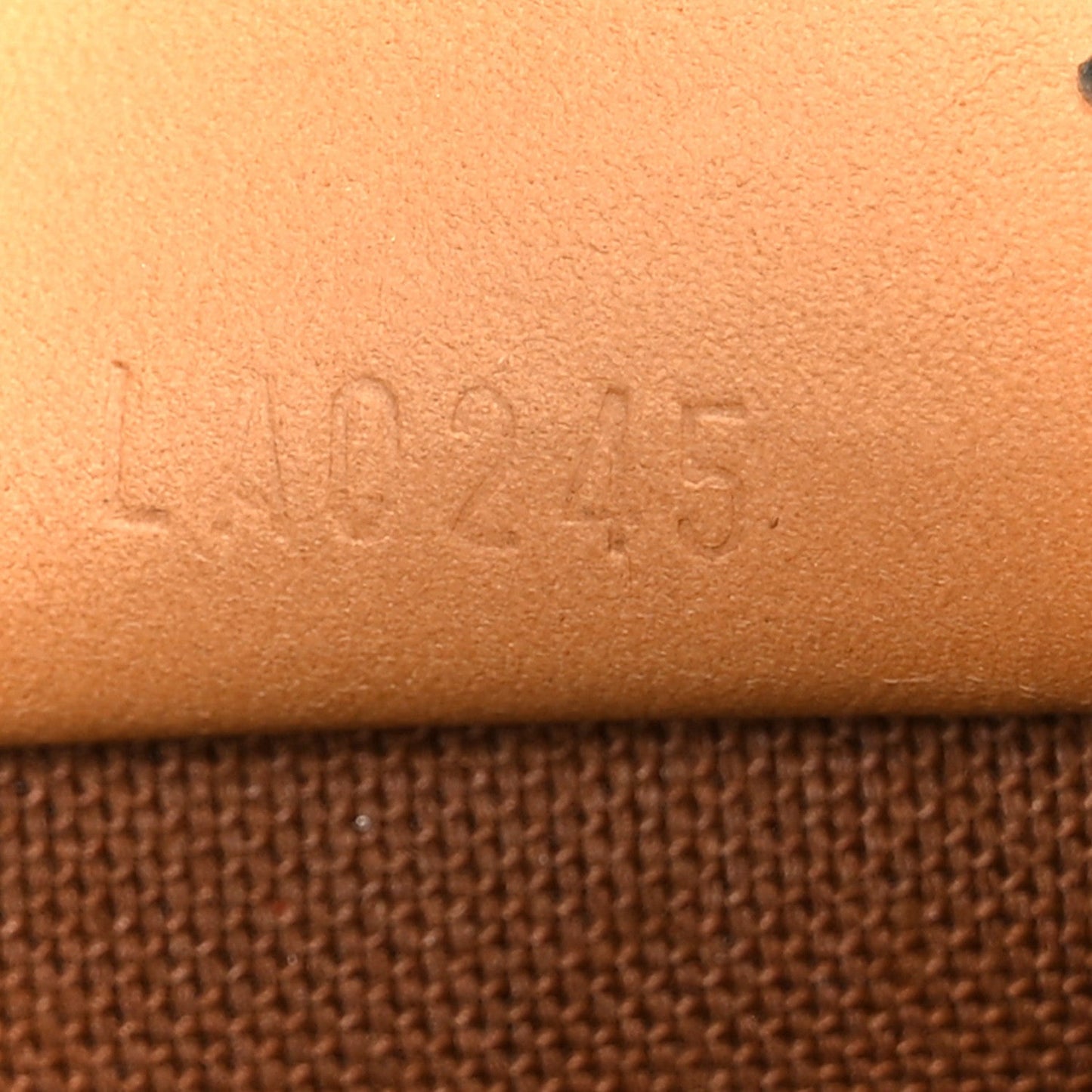 Monogram Nano Speedy Bandouliere