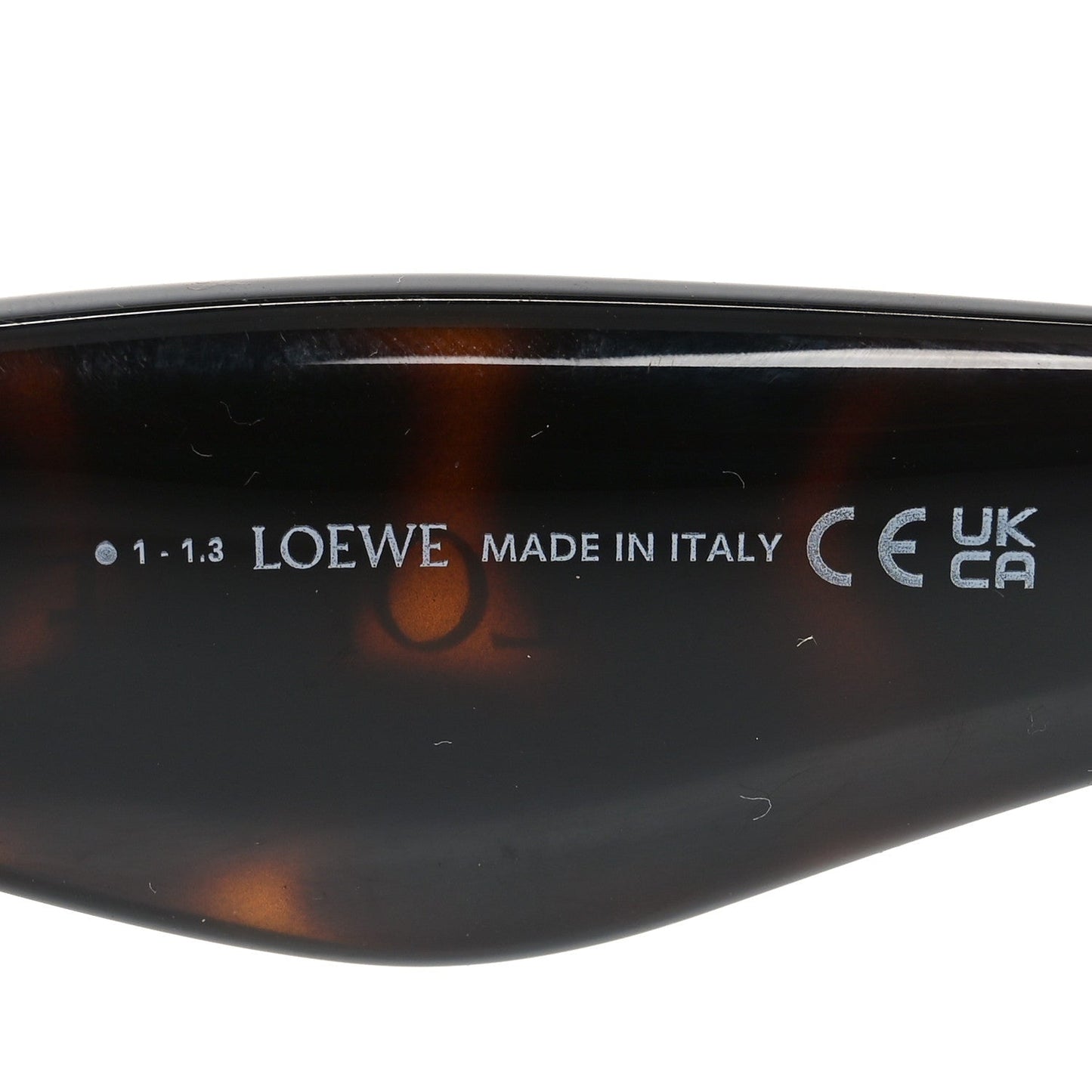 Acetate Inflated LW400981 Square Sunglasses Tortoise