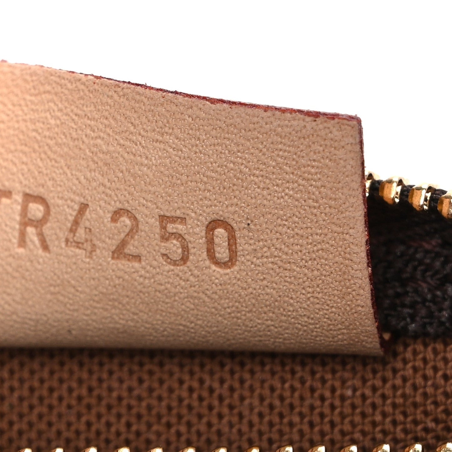 Monogram Nano Speedy