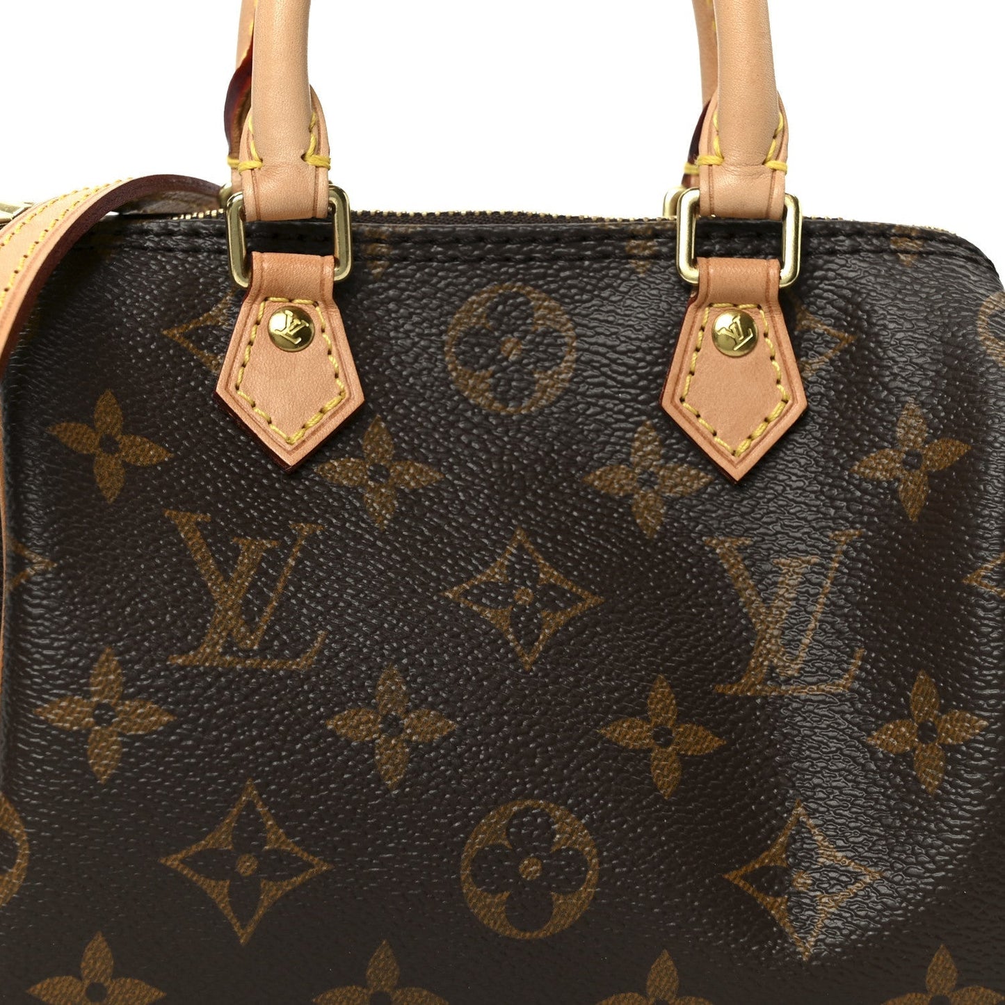 Monogram Nano Speedy