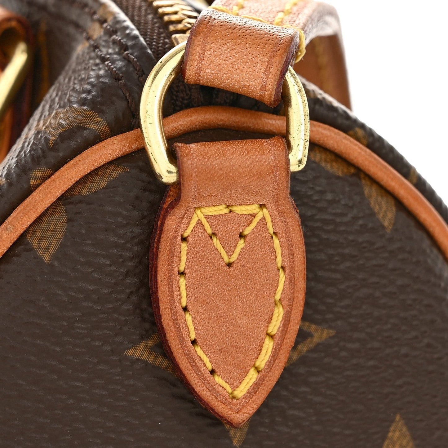 Monogram Nano Speedy