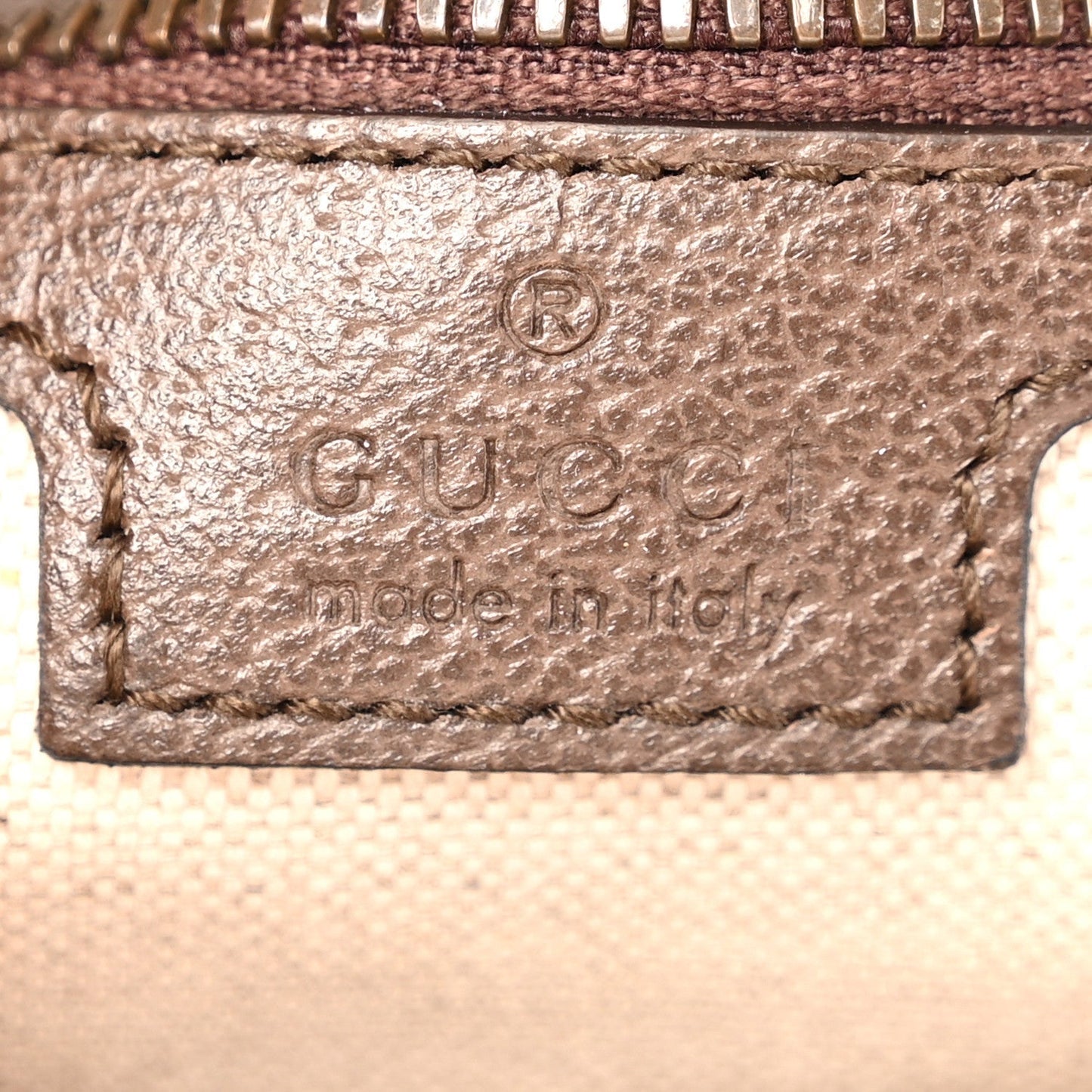GG Supreme Monogram Textured Dollar Calfskin Web Small Ophidia Day Backpack Beige Ebony Fluorescent Fuchsia