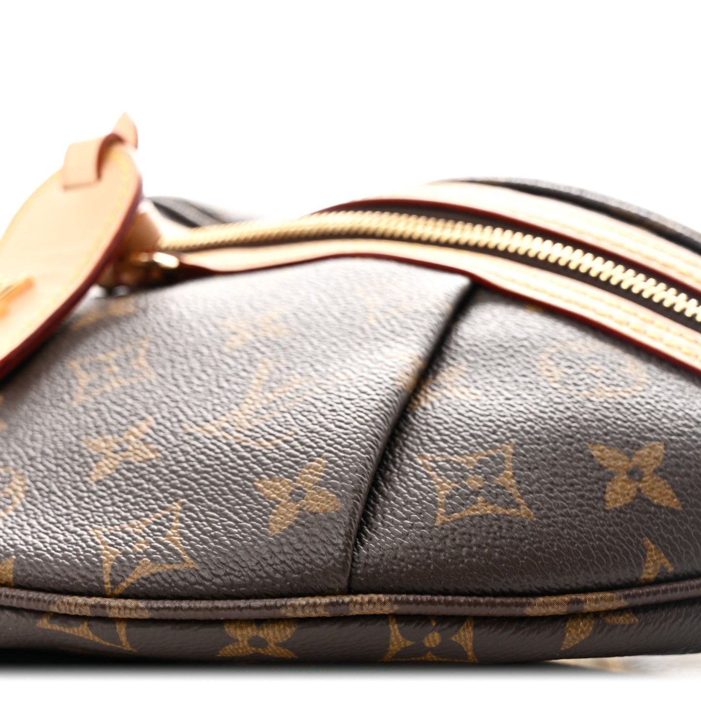 Monogram High Rise Bumbag