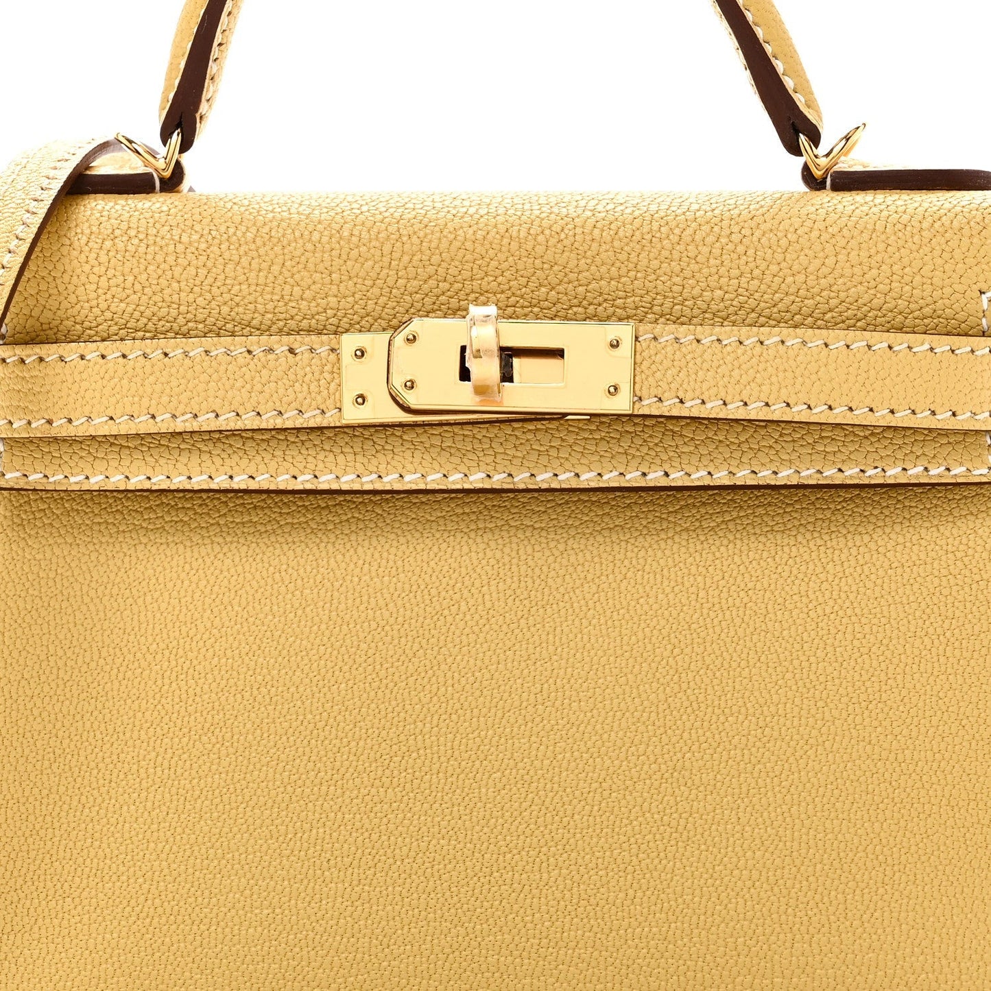Chevre Mysore Mini Kelly Sellier 20 Foin