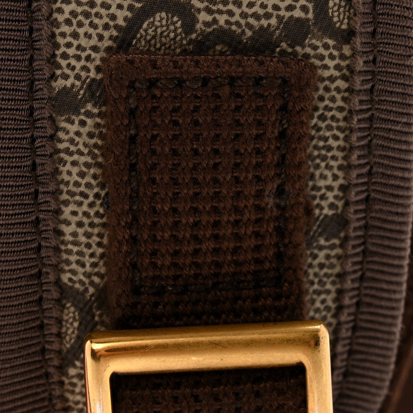 GG Supreme Monogram Textured Dollar Calfskin Web Small Ophidia Day Backpack Beige Ebony Fluorescent Fuchsia