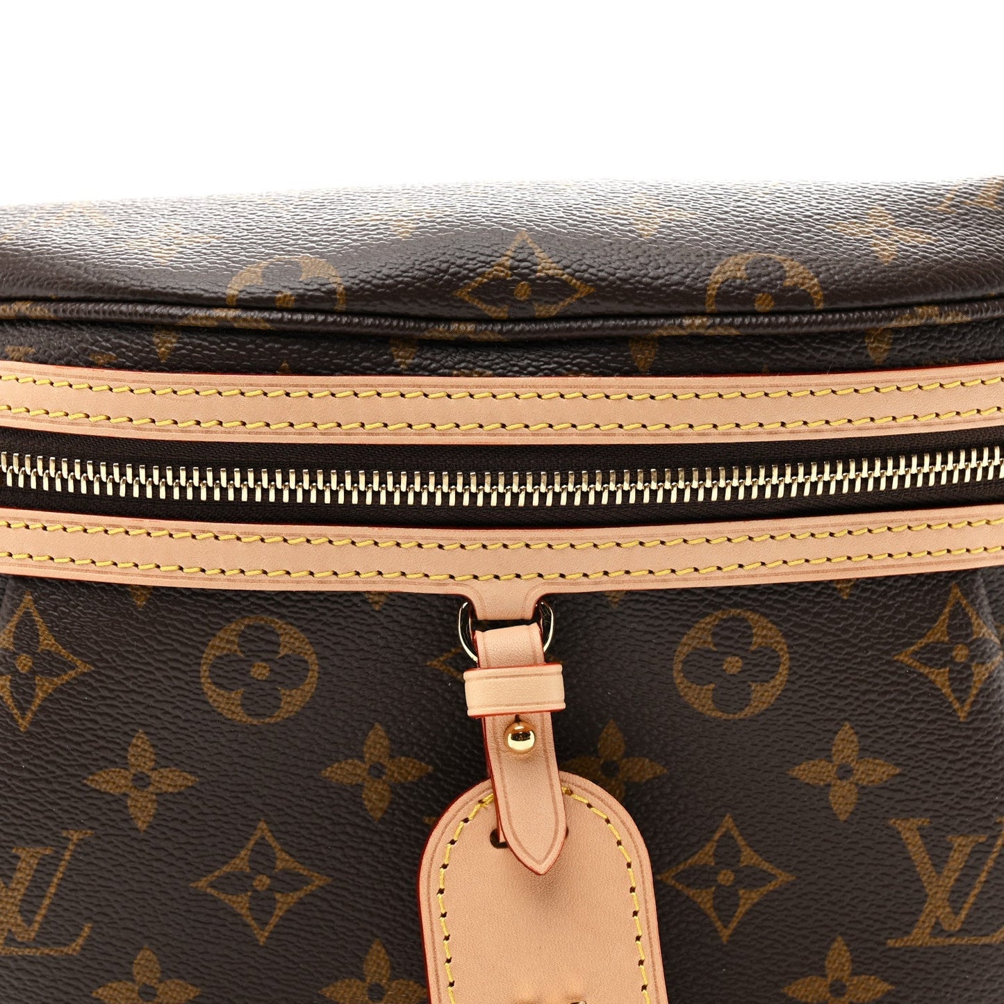 Monogram High Rise Bumbag