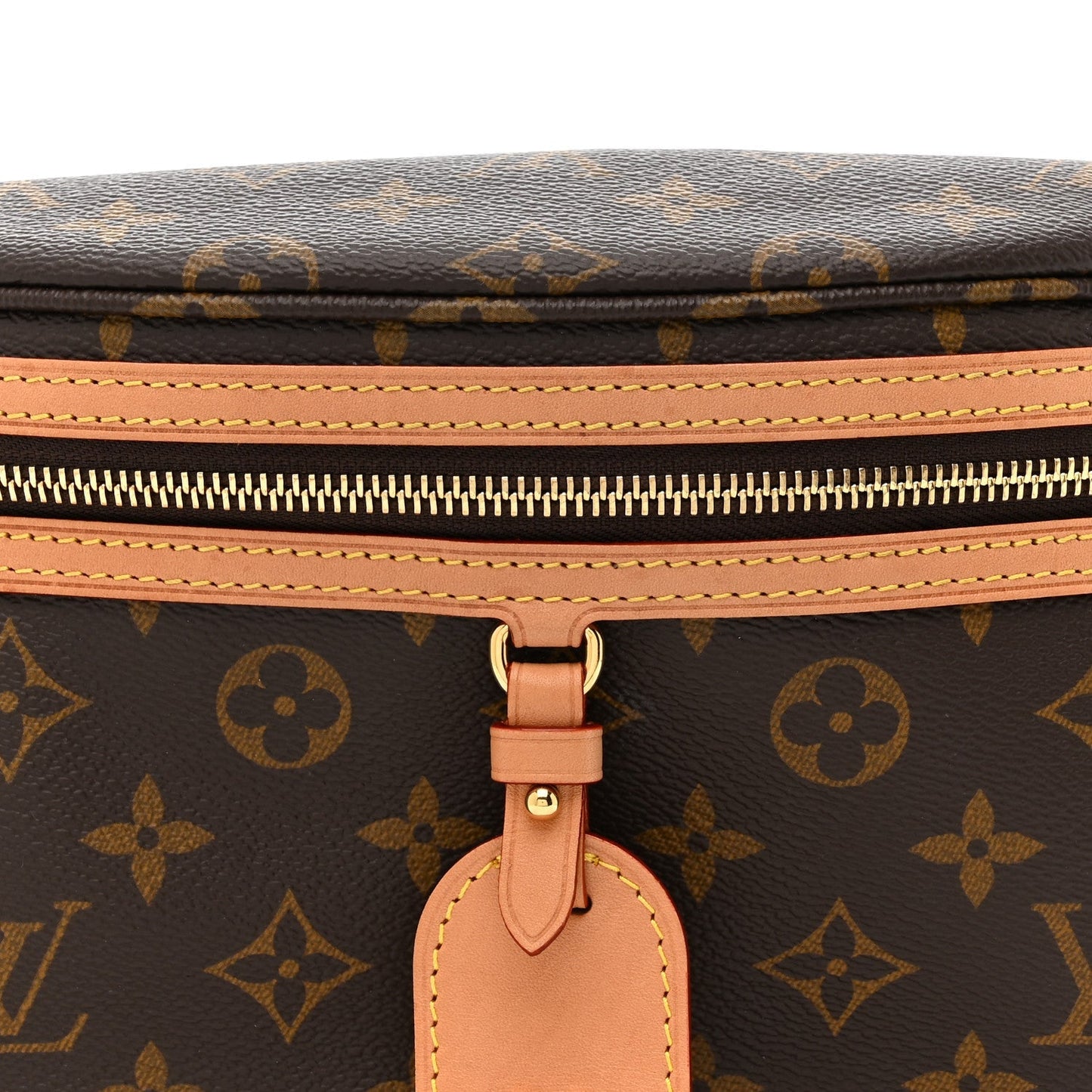 Monogram High Rise Bumbag