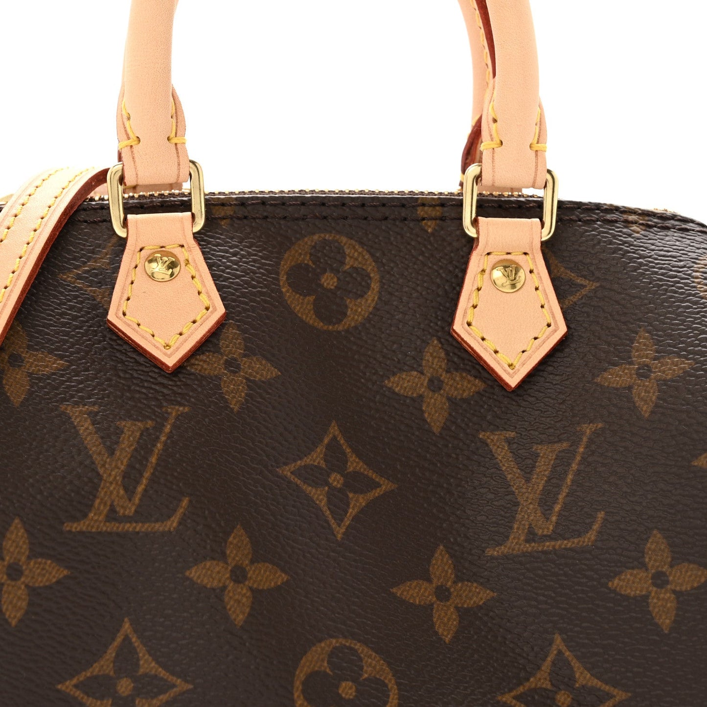 Monogram Nano Speedy