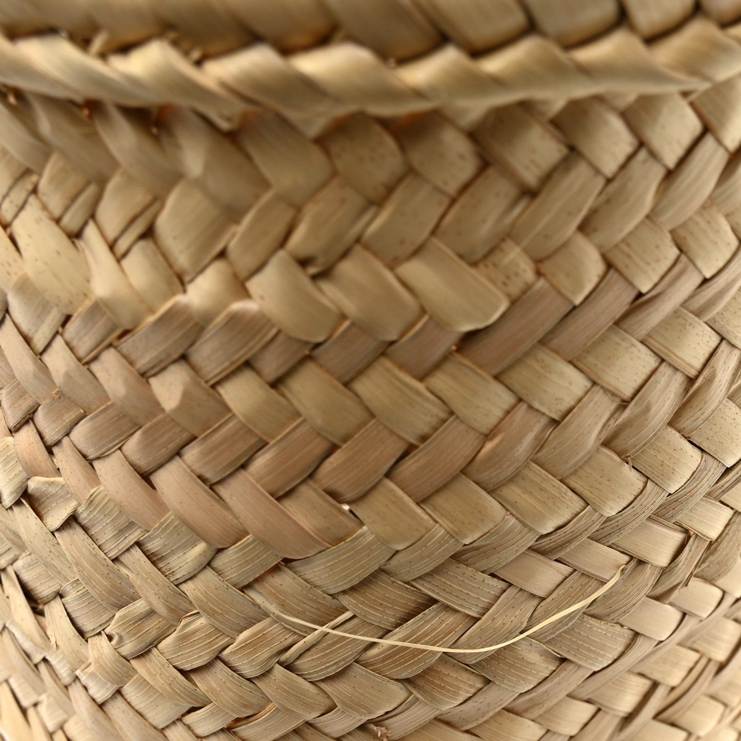Raffia Basket Tote Bag Natural Tan