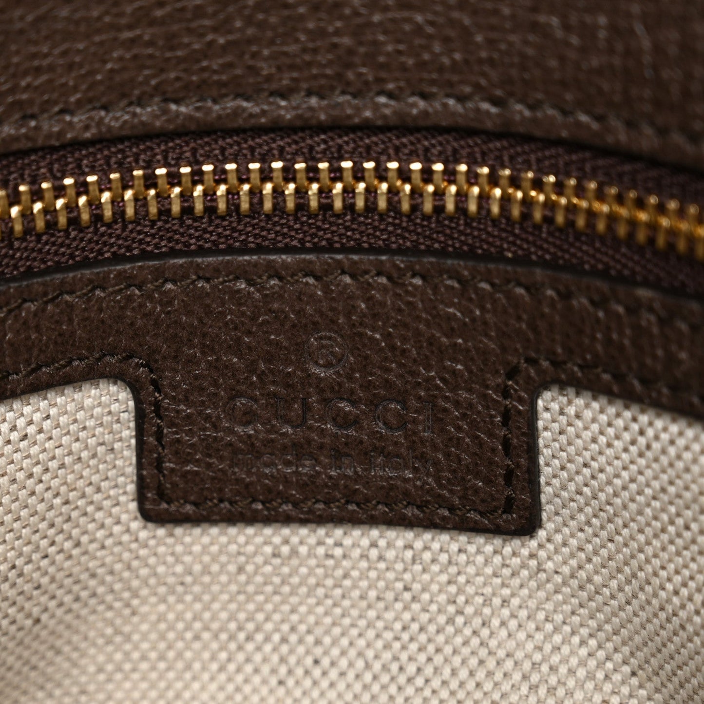 GG Supreme Monogram Textured Dollar Calfskin Blondie Chain Shoulder Flap Bag Beige Ebony New Acero