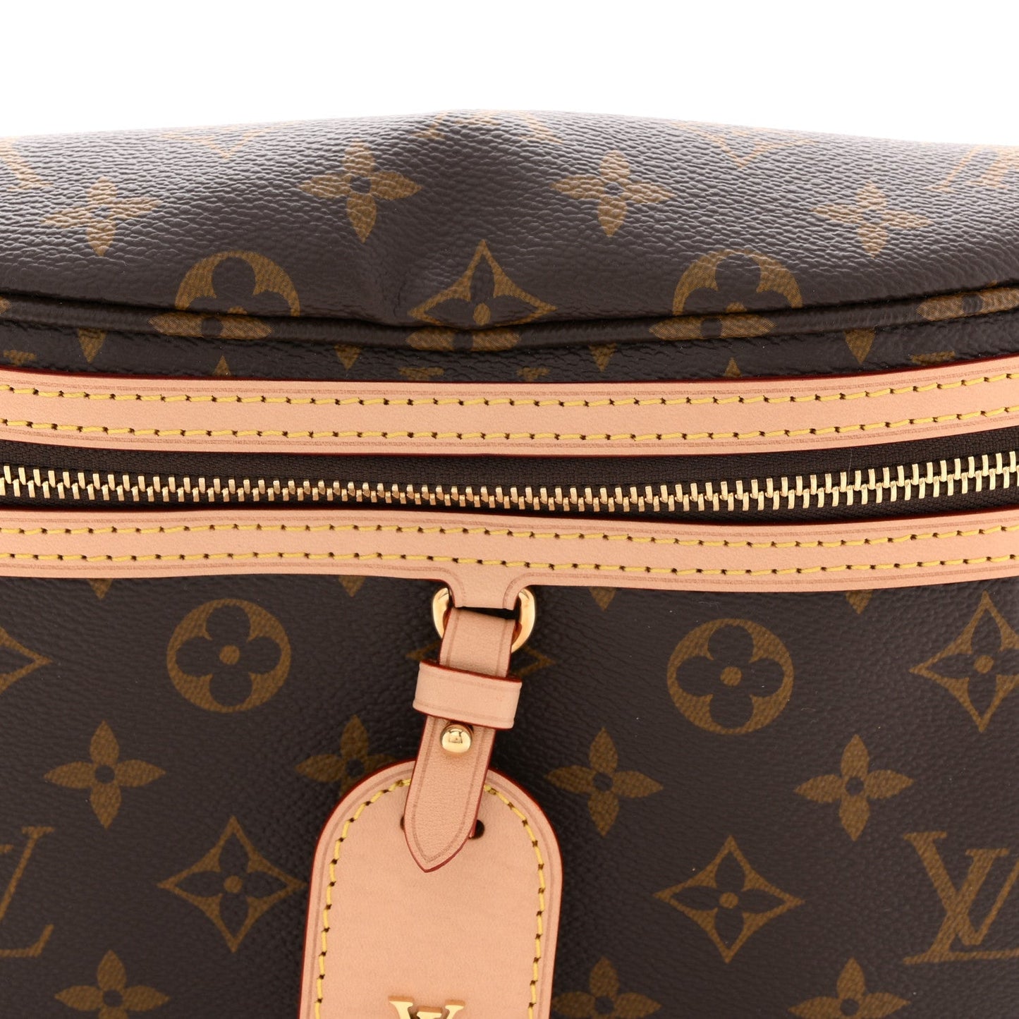 Monogram High Rise Bumbag