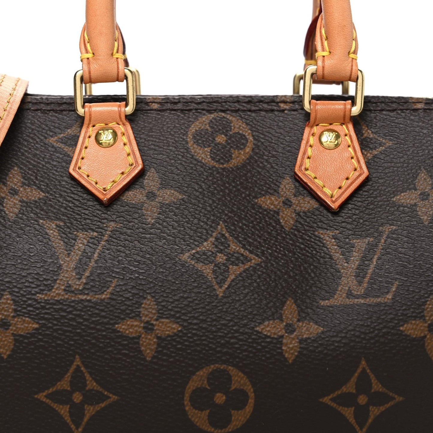 Monogram Nano Speedy