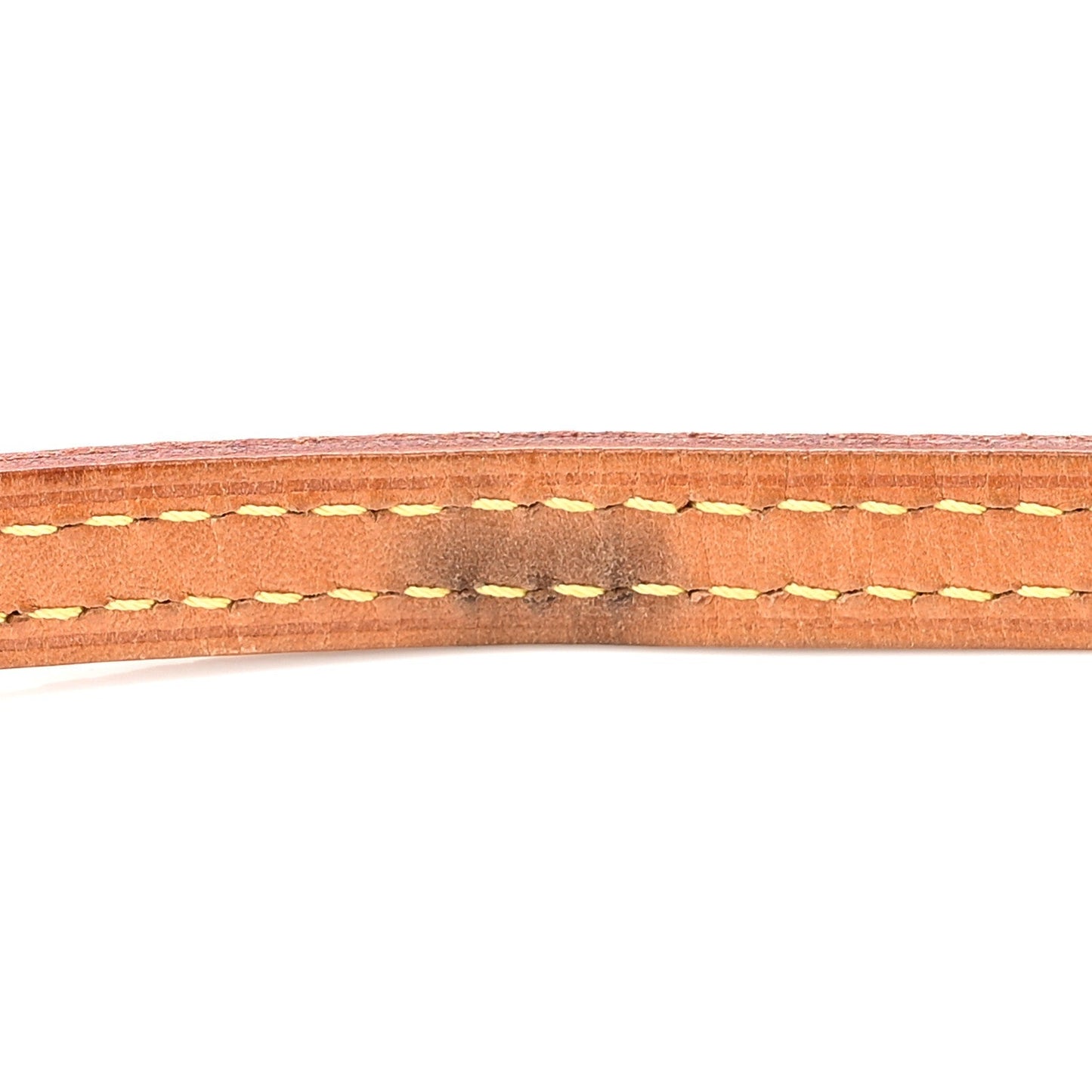 Monogram Nano Speedy