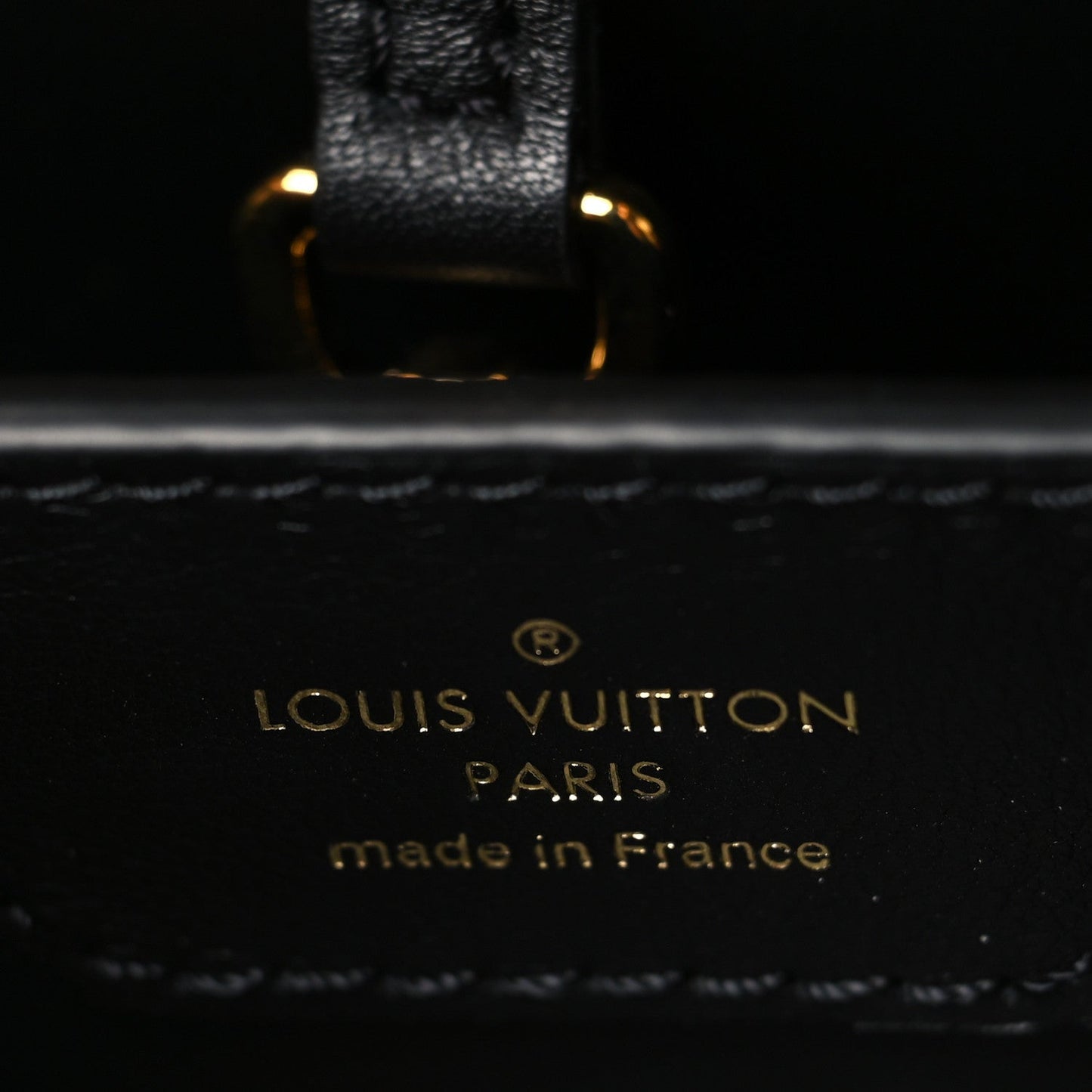 Calfskin Since 1854 Embroidered Capucines PM Black