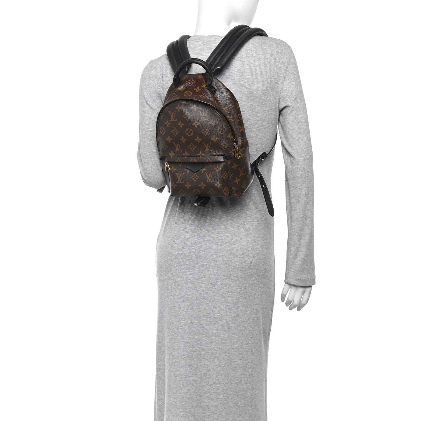 Monogram Palm Springs Backpack PM