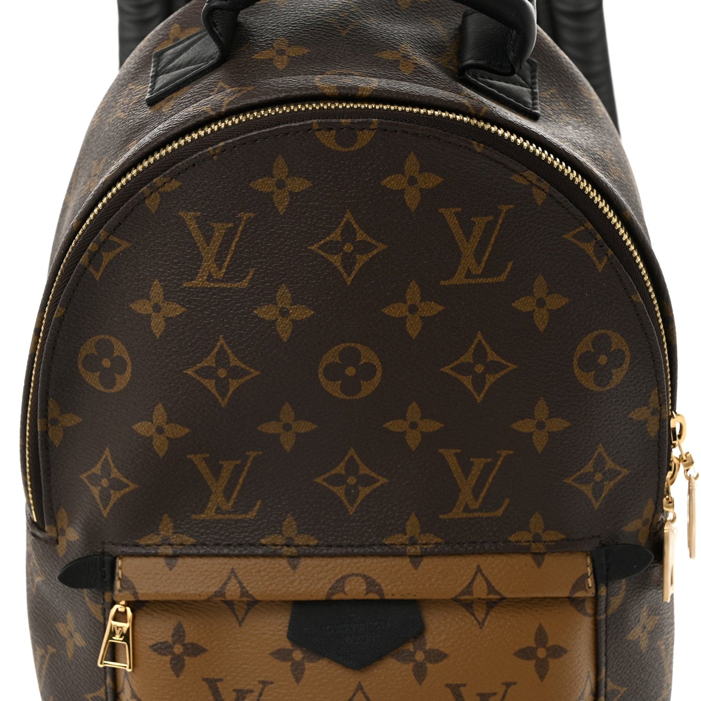 Reverse Monogram Palm Springs Backpack PM