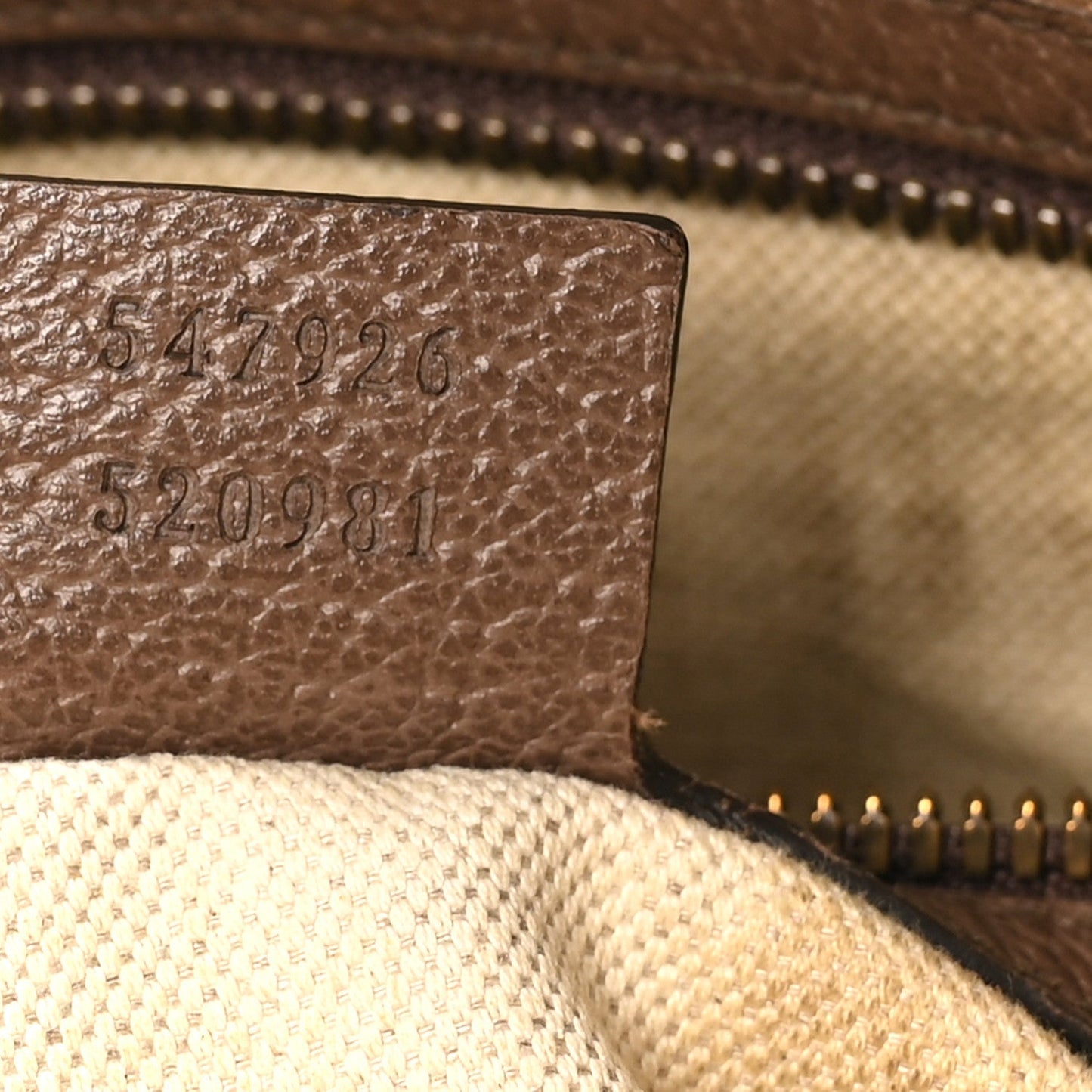 GG Supreme Monogram Web Small Ophidia Messenger Bag Brown
