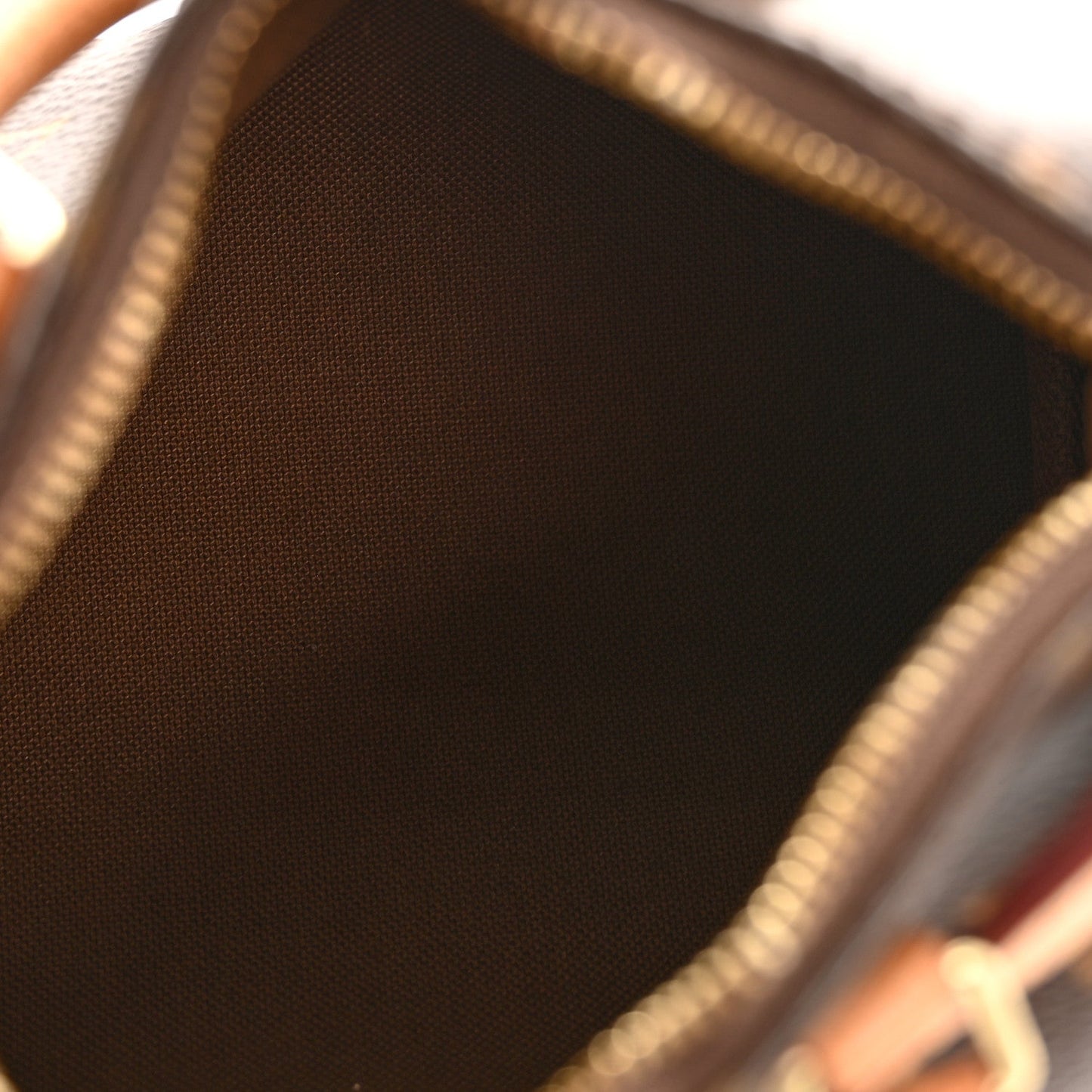 Monogram Nano Speedy