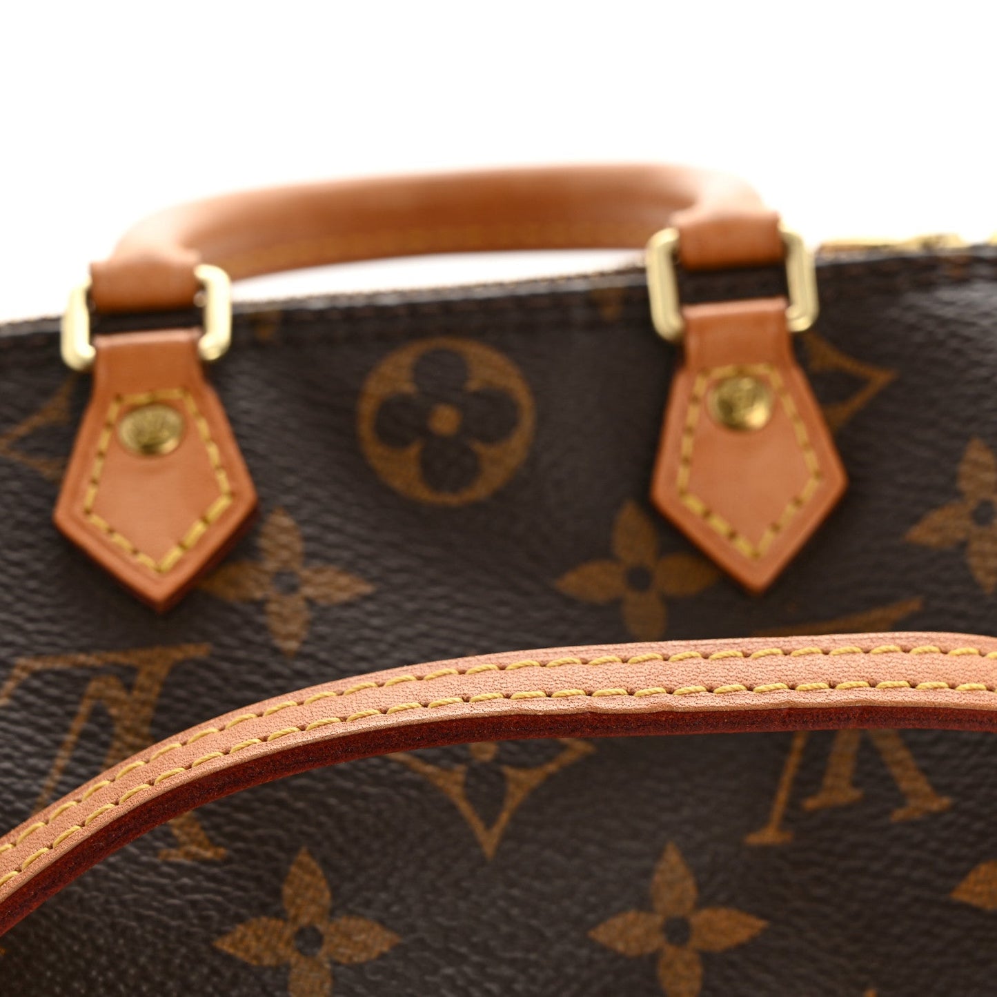 Monogram Nano Speedy