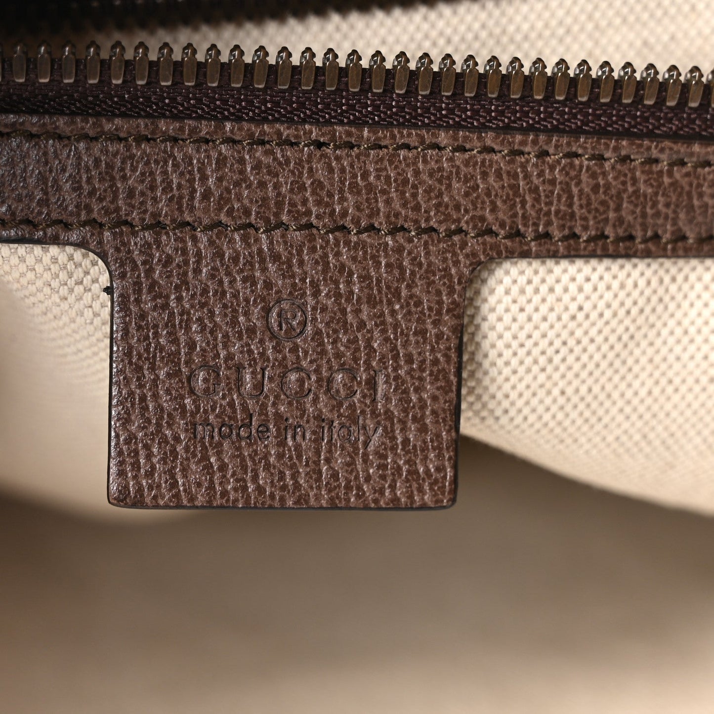 GG Supreme Monogram Web Ophidia Half Moon Hobo Brown
