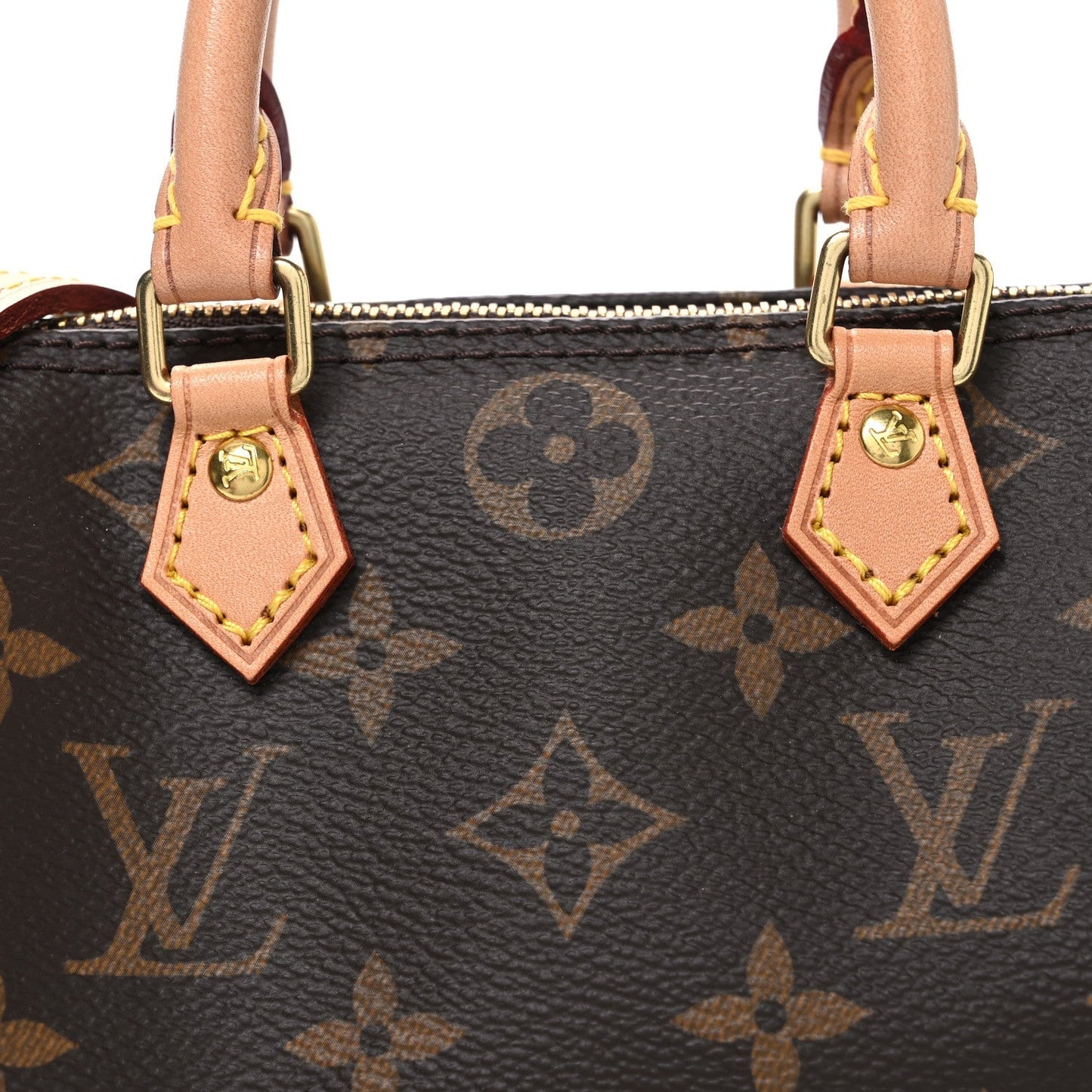 Monogram Nano Speedy