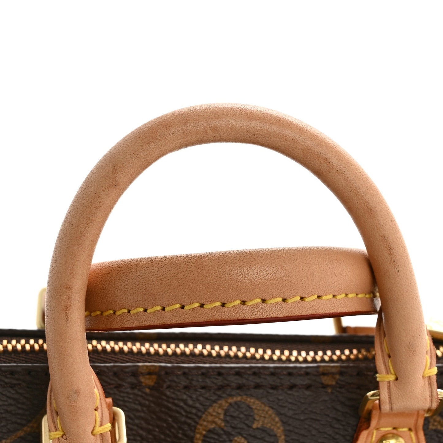 Monogram Nano Speedy