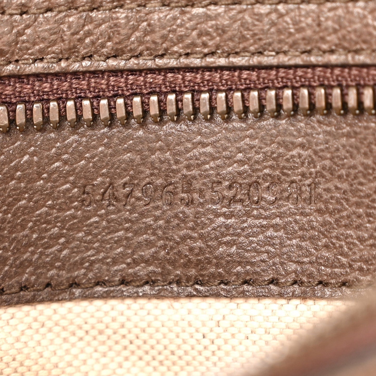 GG Supreme Monogram Textured Dollar Calfskin Web Small Ophidia Day Backpack Beige Ebony Fluorescent Fuchsia