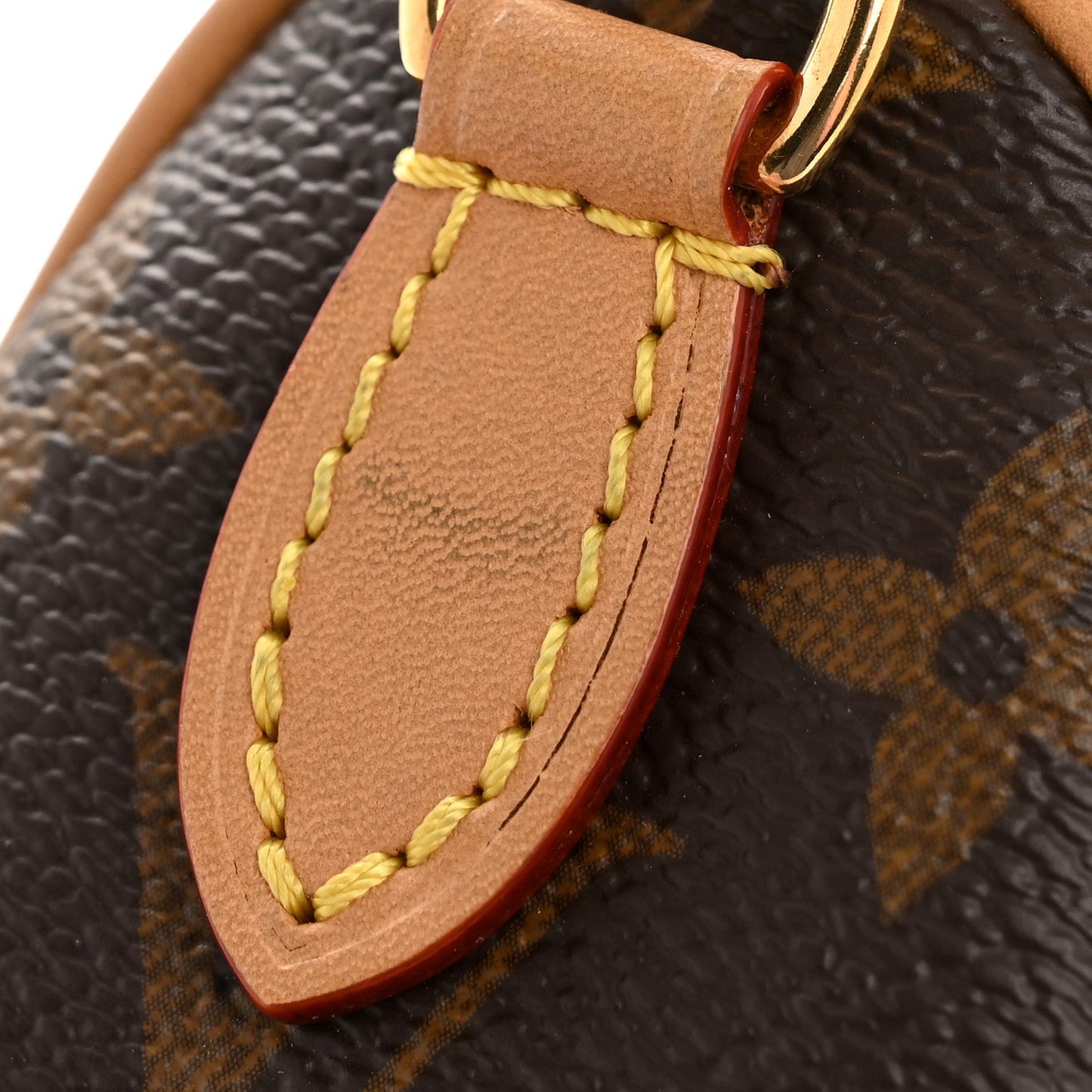 Monogram Nano Speedy Bandouliere
