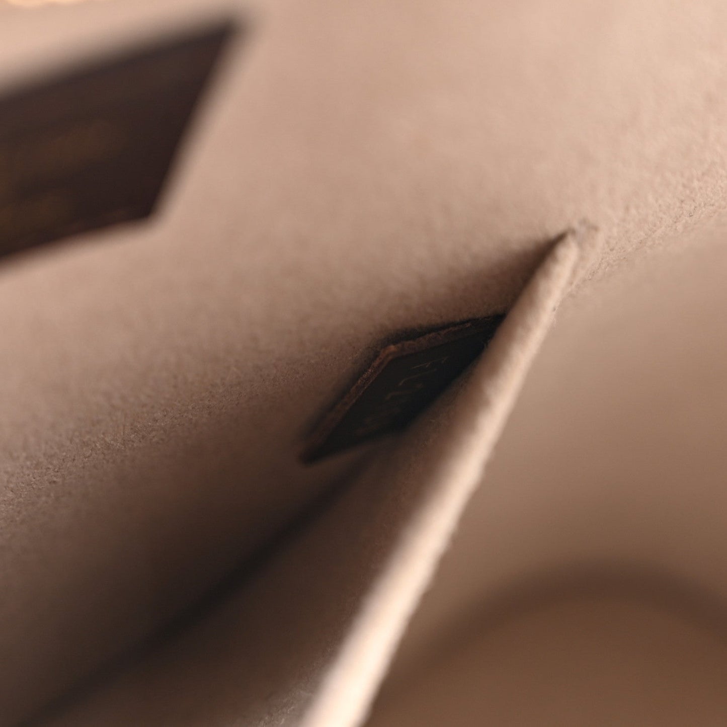 Transformed Canvas Time Trunk Alma BB Beige