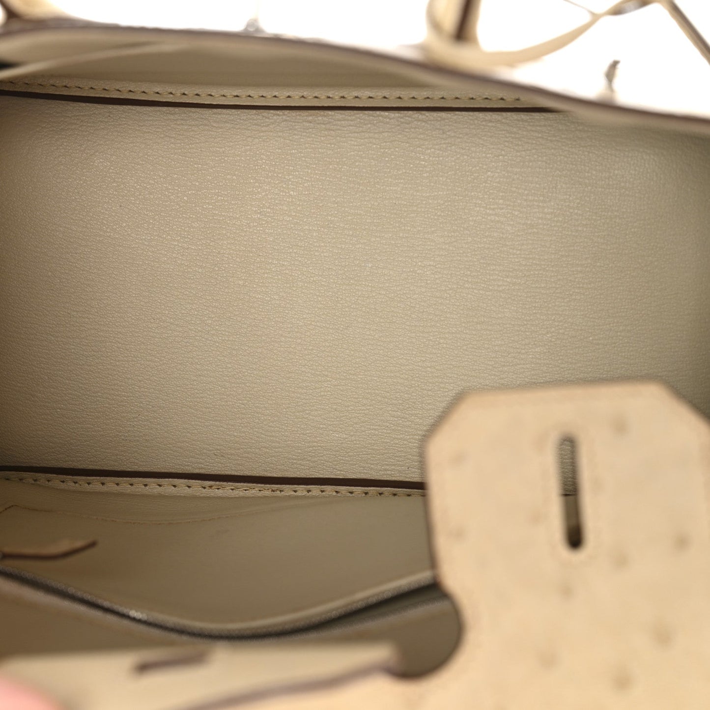 Ostrich Birkin 30 Parchemin