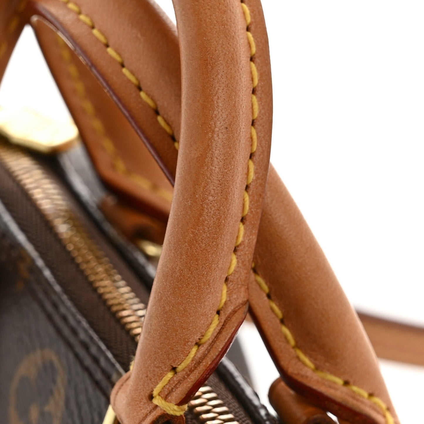 Monogram Nano Speedy