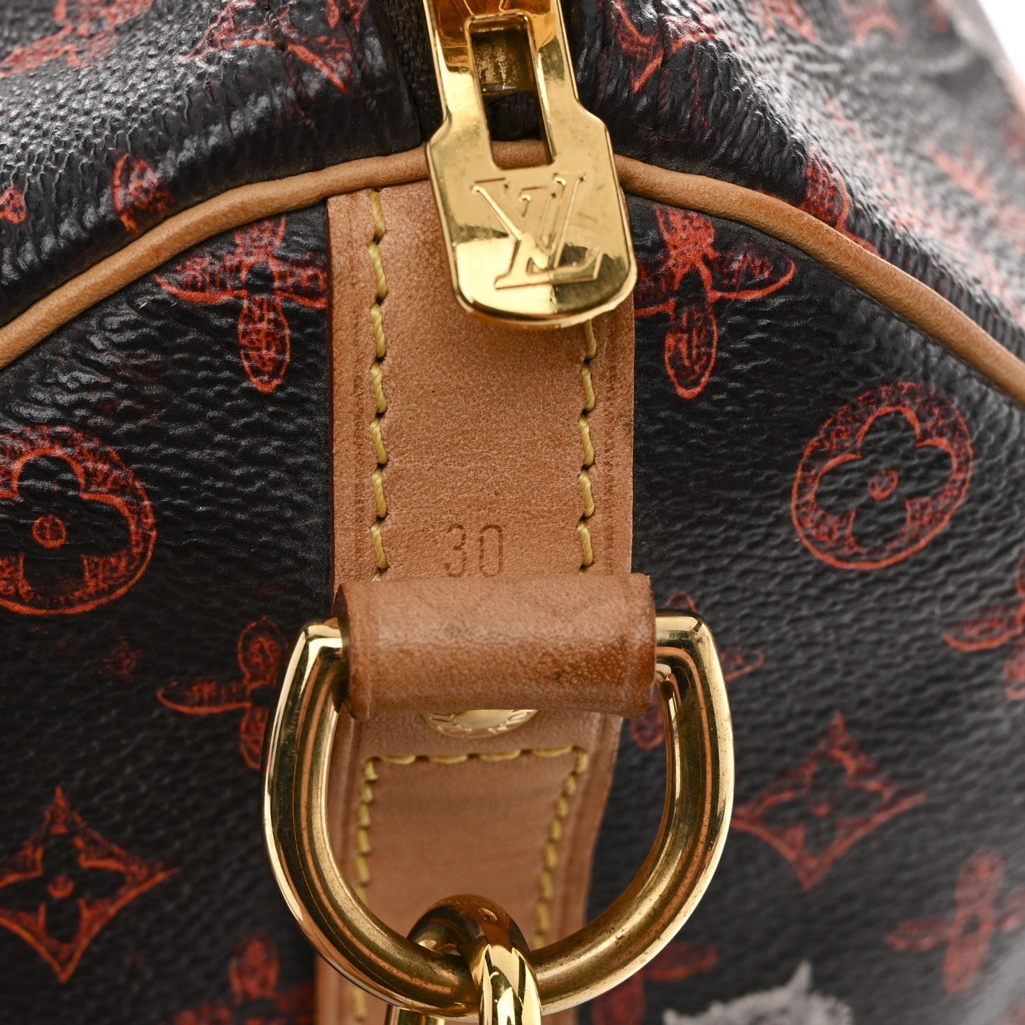 Catogram Speedy Bandouliere 30 Marron