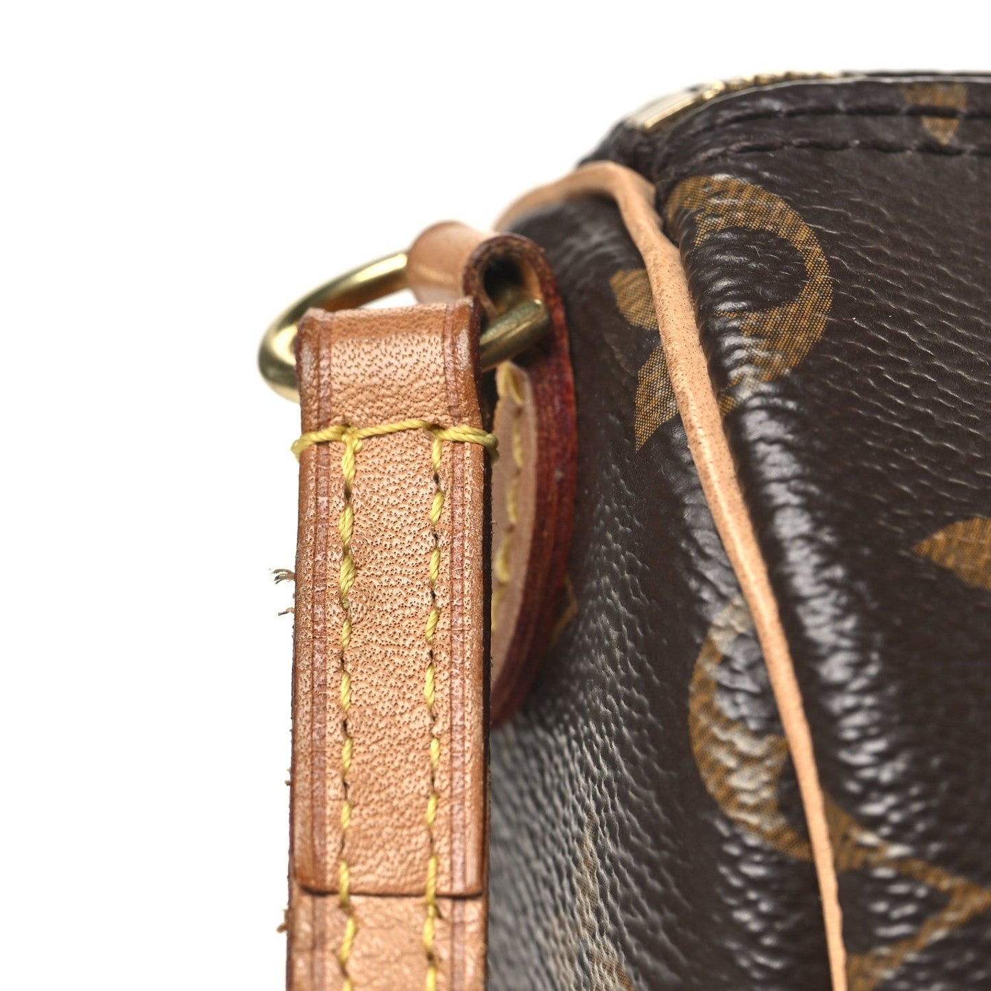 Monogram Nano Speedy